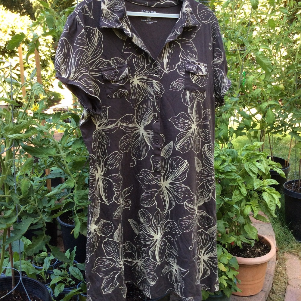Sonoma petit dress brown tone cotton blend